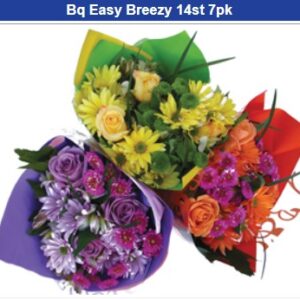 Bq Easy Breezy