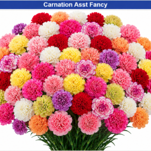 Carnation bouquet