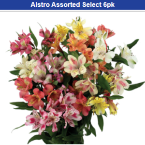 Alstro Asst Select