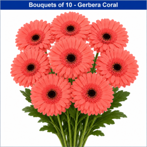 bouquet of 10 gerbera coral