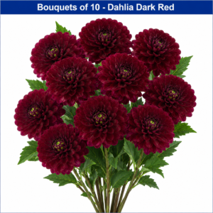 bouquets of 10 dahilia
